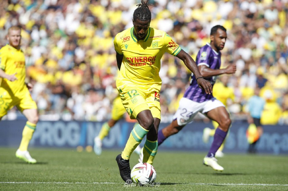 键词分布 键词分布