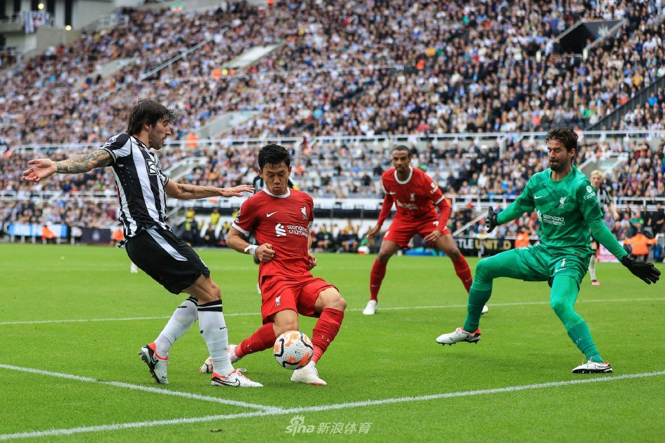 吃饱睡好 吃饱睡好